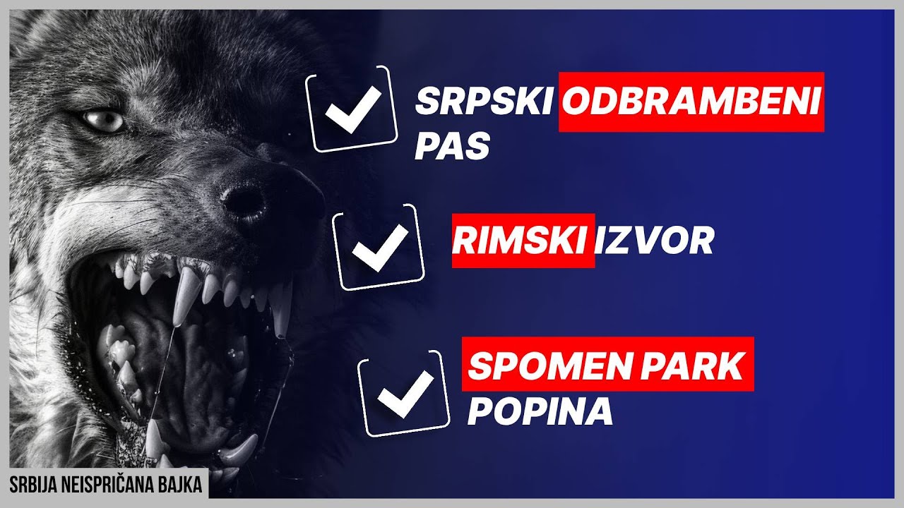 Srpski pas je bio deo Kosovskog boja | Srbija neispričana bajka