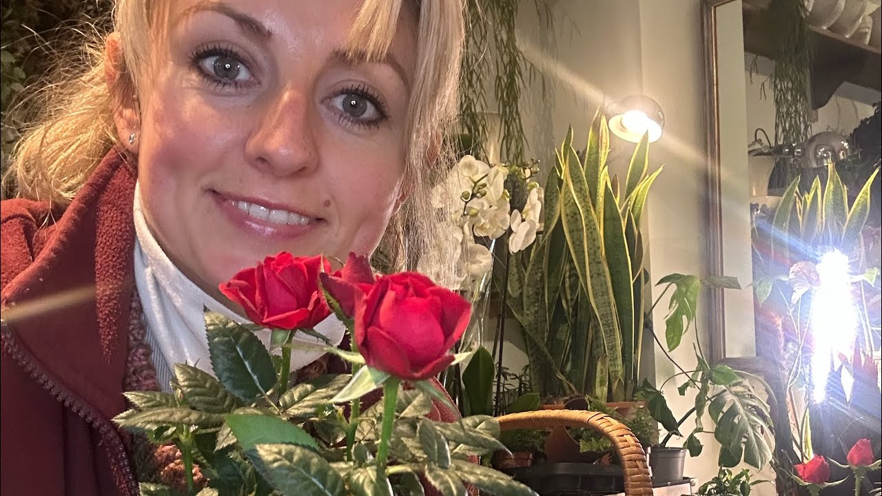 🌹Plant a Valentine's Rose Basket with Holly🌹