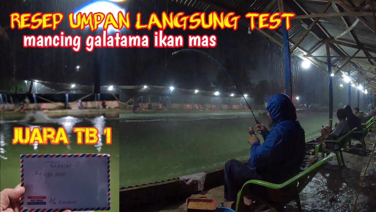 resep umpan ikan mas terbanyak dan terberat, mancing di kolam galatama ikan mas teknik glosor #GP-62