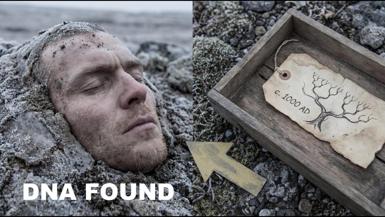 Celtic and Viking Ancestors Built Two Paths — DNA Reveals the SILENT Survival