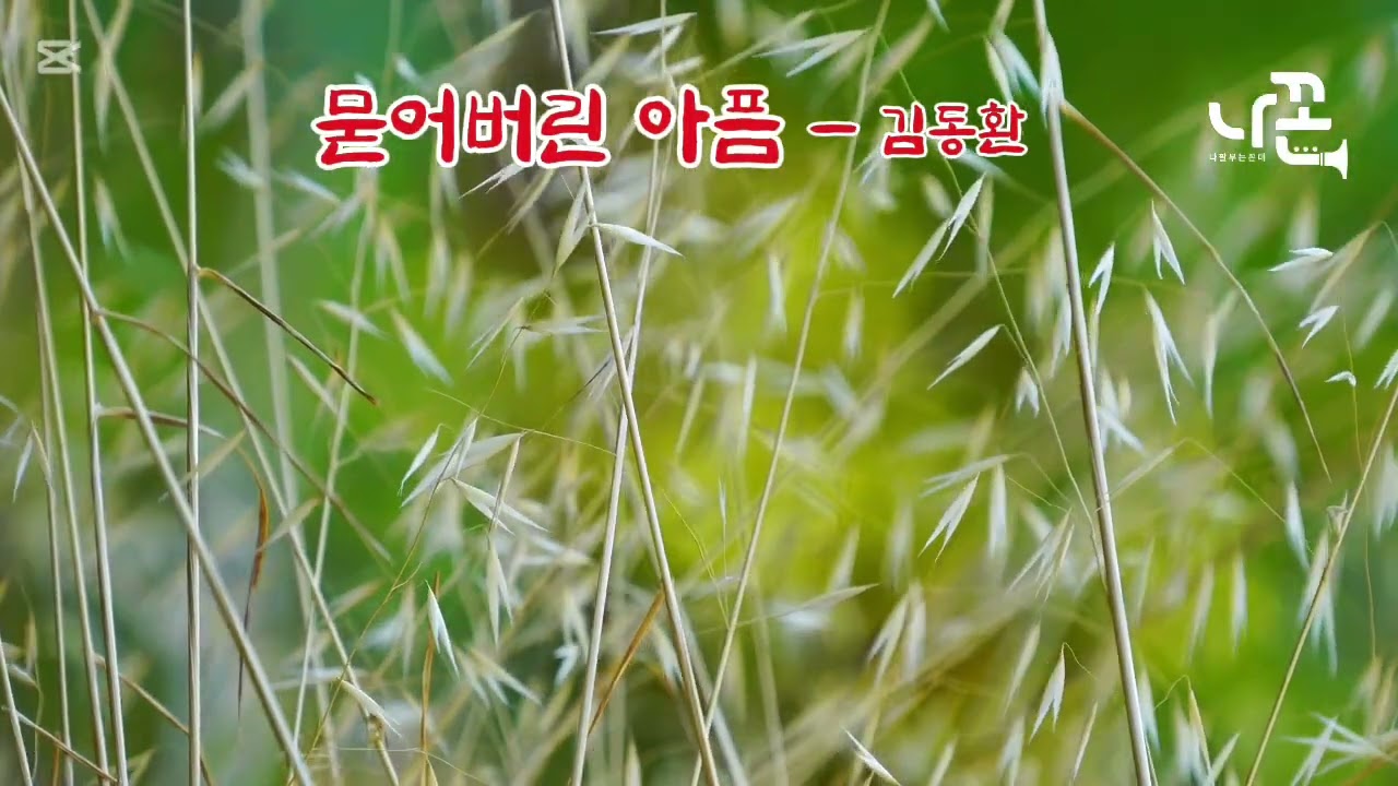 묻어버린 아픔    