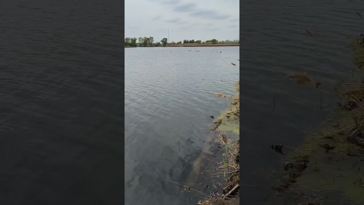 New fishing spot NWI. # #newfishingspot #nwifishing