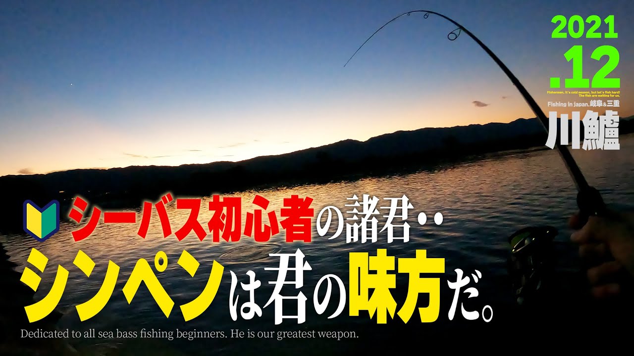 【シーバス】私と同じ初心者にはシンキングペンシルがおすすめって話。