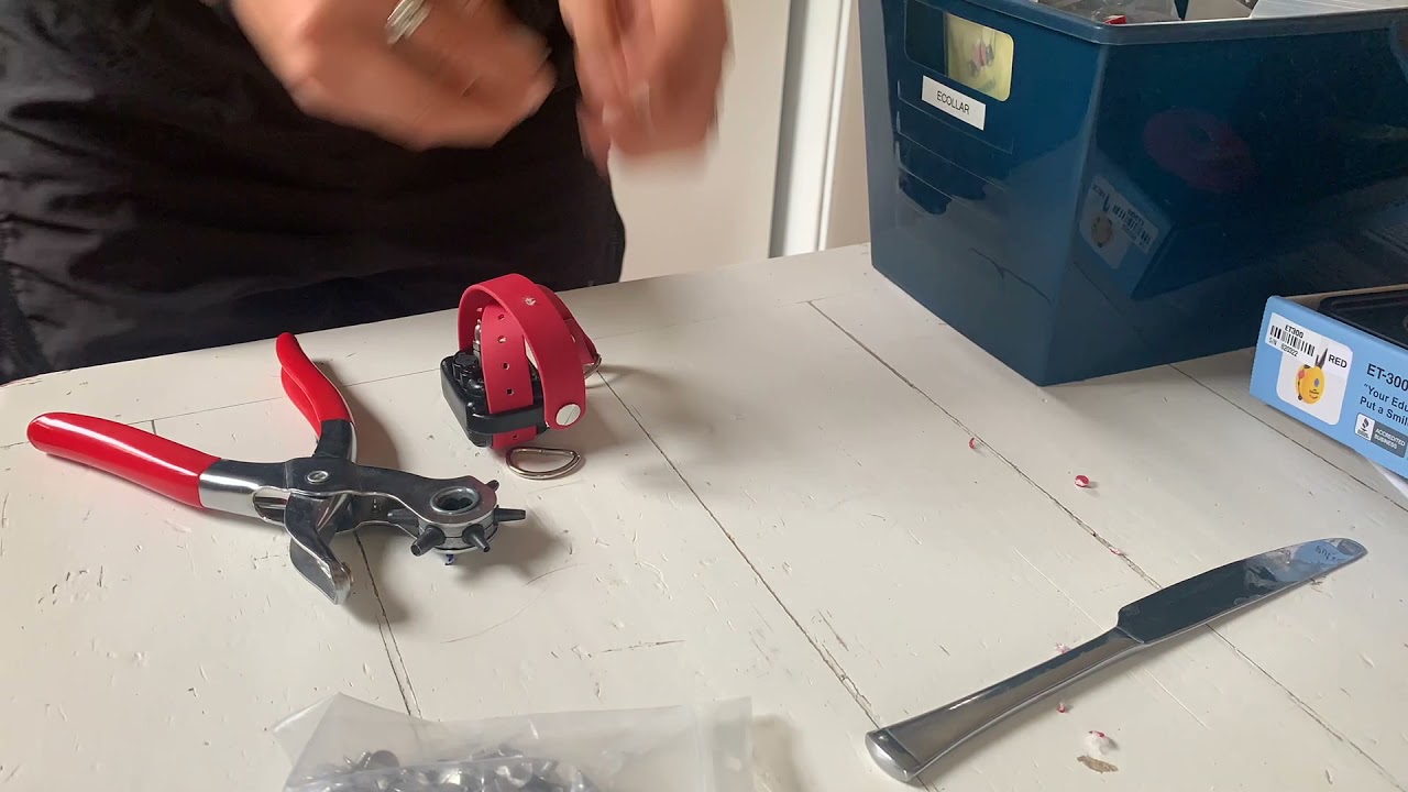 DIY bungee strap for an ecollar