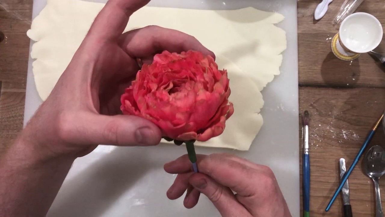 Modelling chocolate peony tutorial