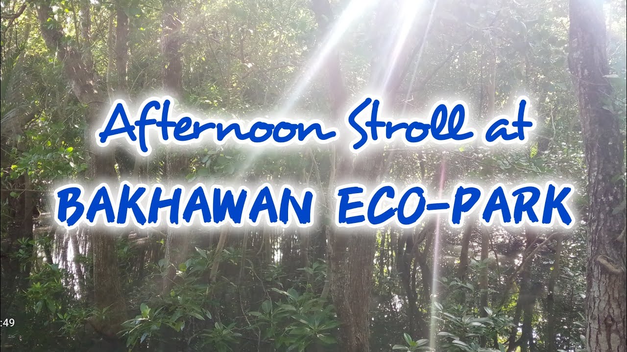 Afternoon Stroll at BAKHAWAN ECO-PARK