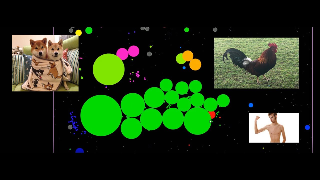 Multiboxing Takeover一Gota.io