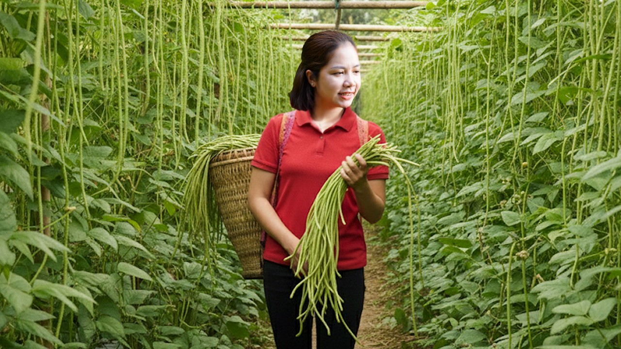 Satisfying Farm Life 🌿 Harvesting Long Green Beans & Selling at Market | Fresh Cooking 4K