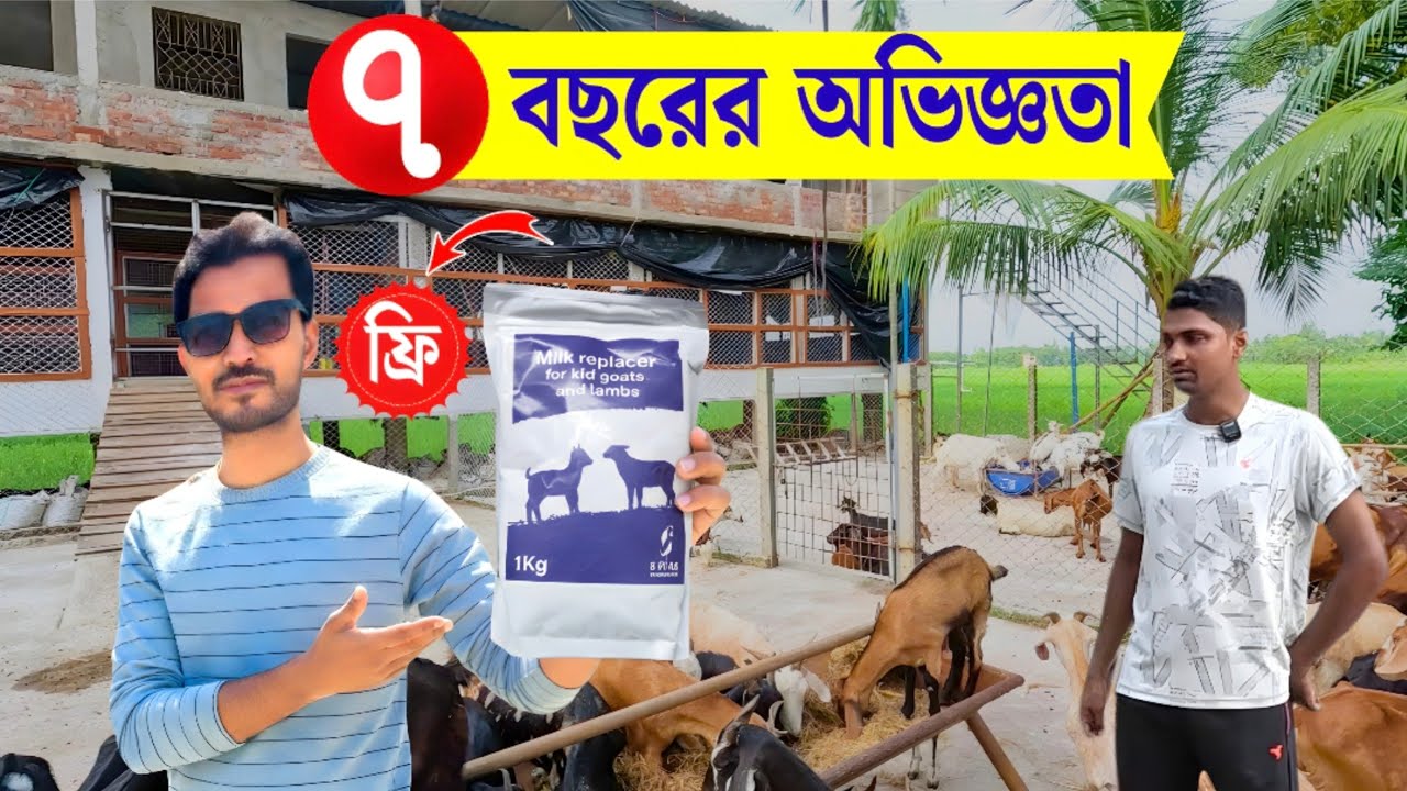 বর্তমান সময়ে 250 ছাগল  || 7 বছরের অভিজ্ঞ খামারি || Goat farm in Medinipur || goat farm