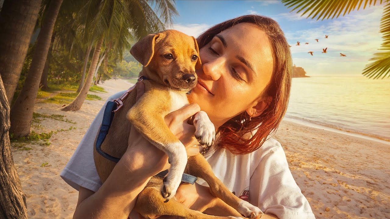 JE L'ADOPTE ?