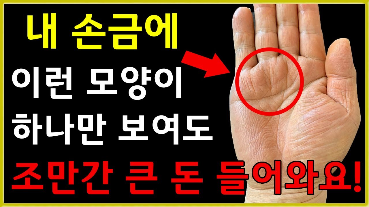 손금에 이런 모양 하나만 보여도 조만간 큰 재물운이 들어와요 !! [대박나는 손금]