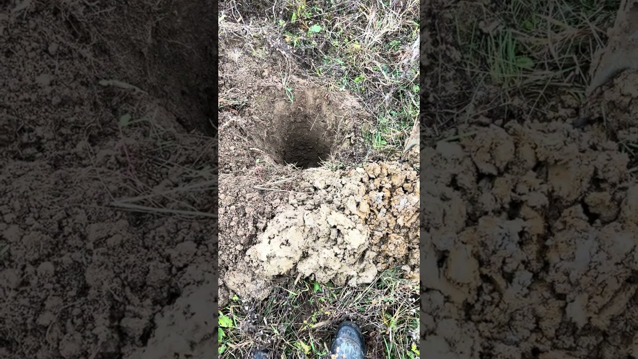 Unde nu putem planta cireș 
