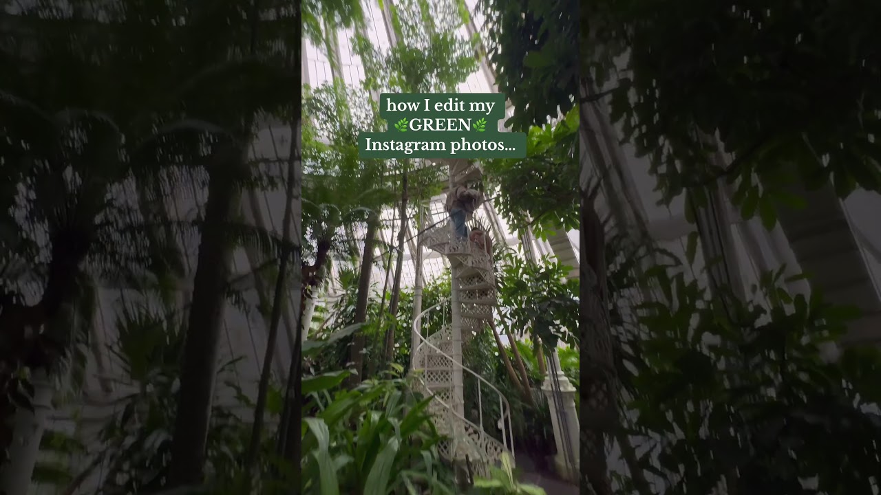 How I Edit my 🌿GREEN🌿 Photos