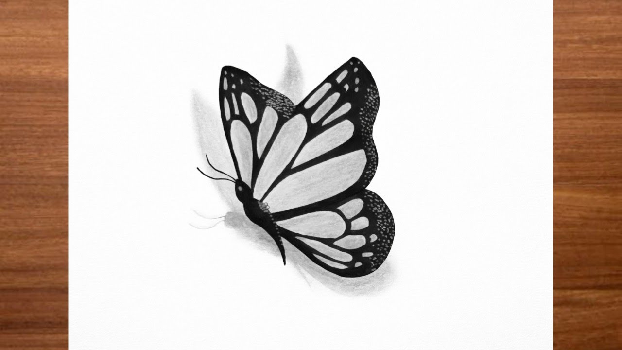 Easy Butterfly Drawing Step by Step | Beautiful Butterfly Pencil Sketch