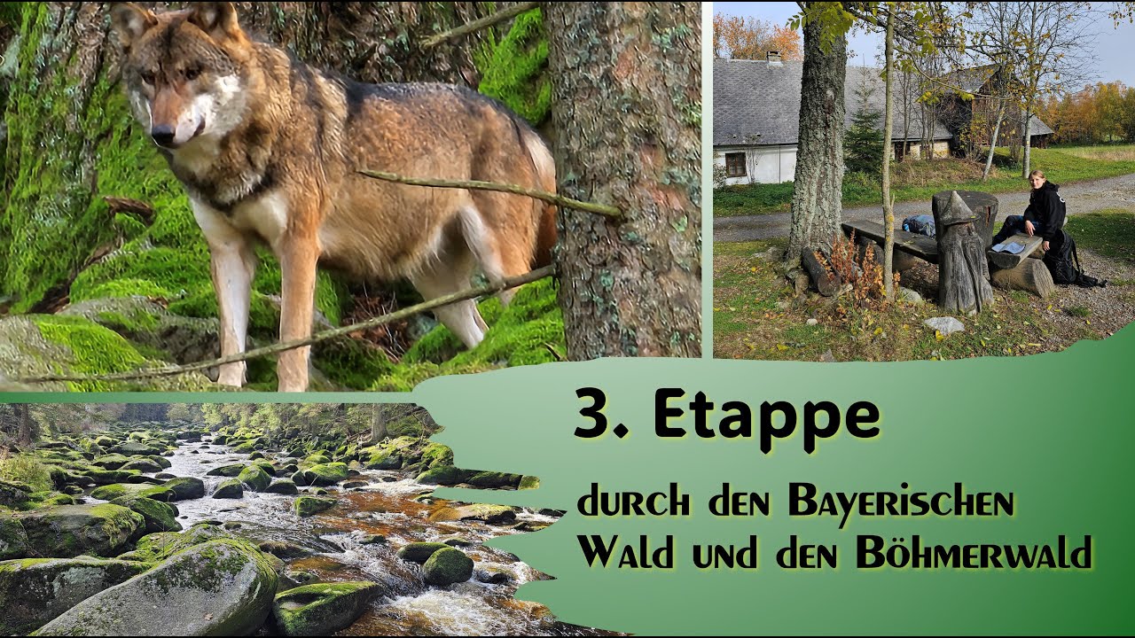 3. Etappe durch den Bayerischen Wald und den Böhmerwald