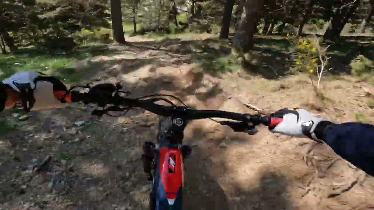 Bike park La Molina E-bike