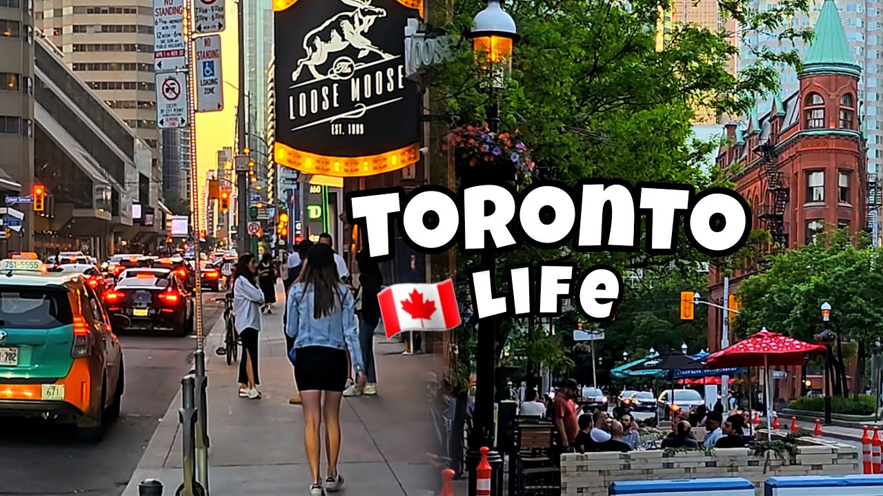 JORD ZOOM Live Stream