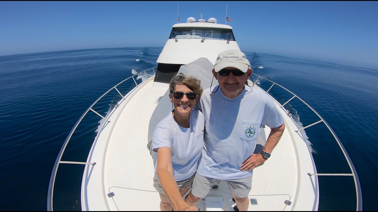 Adios, Sea of Cortez