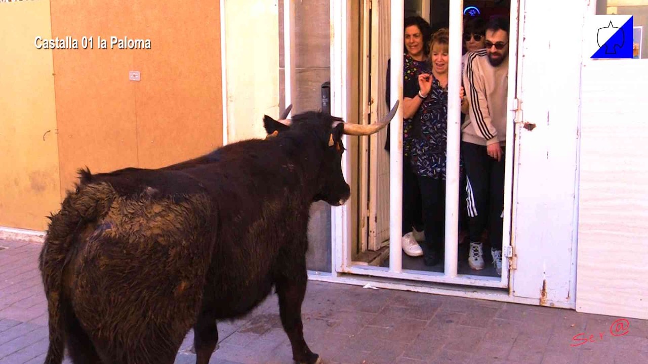 CASTALLA 01 Susto en la Puerta del Bar