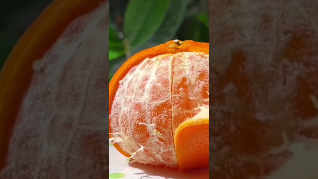 orange peeling asmr #orange #peeling #asmrsounds #asmrfruiteating #asmrsatisfying #satisfying #viral
