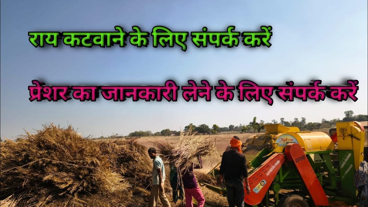 #vlog #creator सरसों कटवाने के लिएसंपर्क करें=.  7581856612