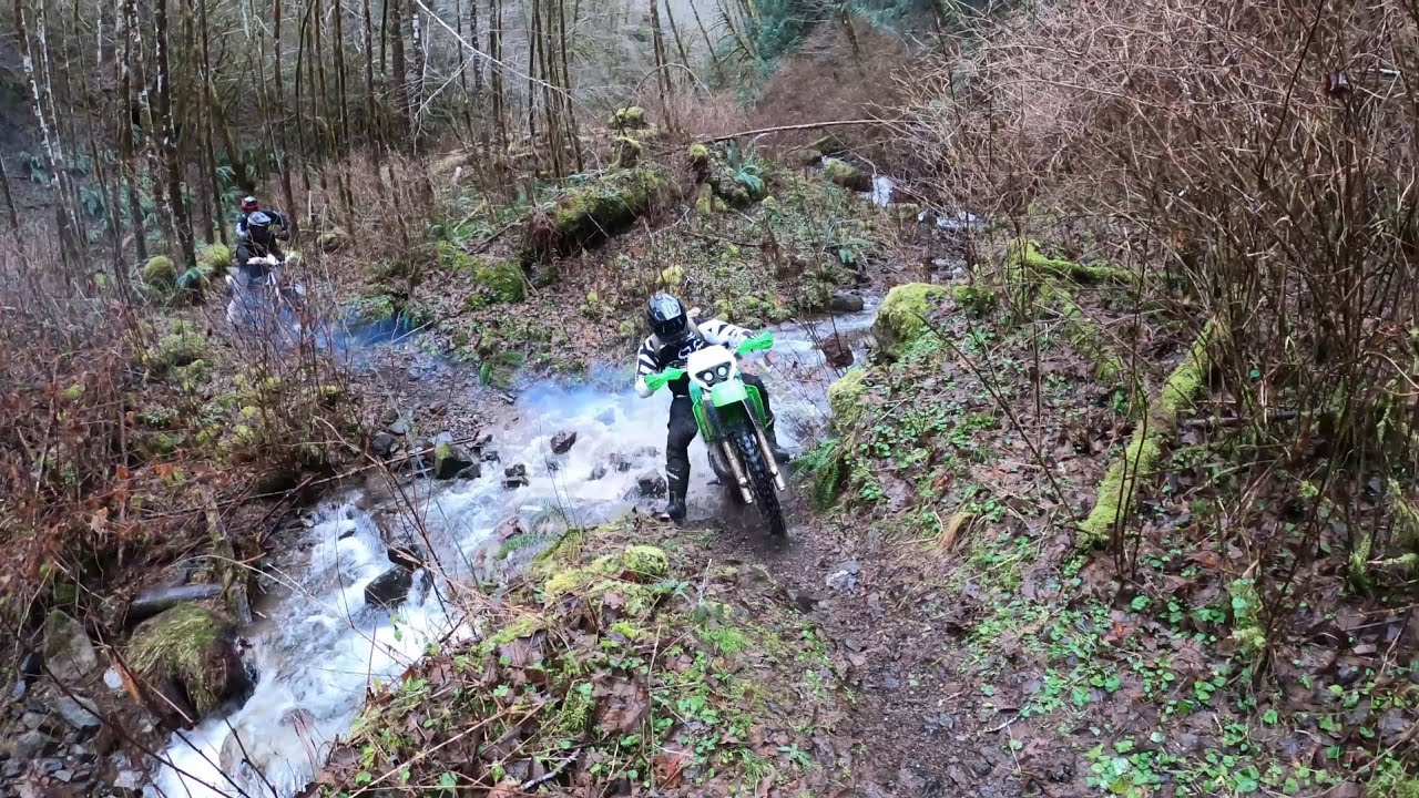 Stretch Creek - TSF