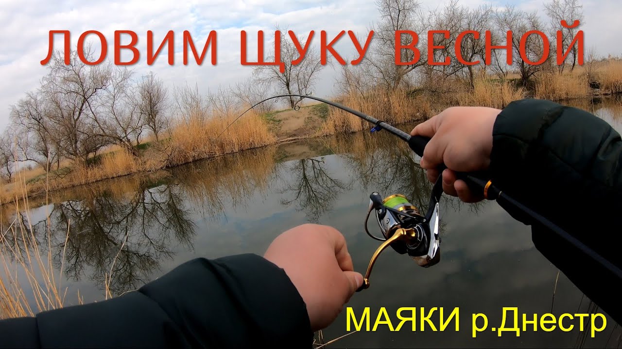 Дружественный турнир по ловле хищной рыбы. с.Маяки. Каналы р.Днестр