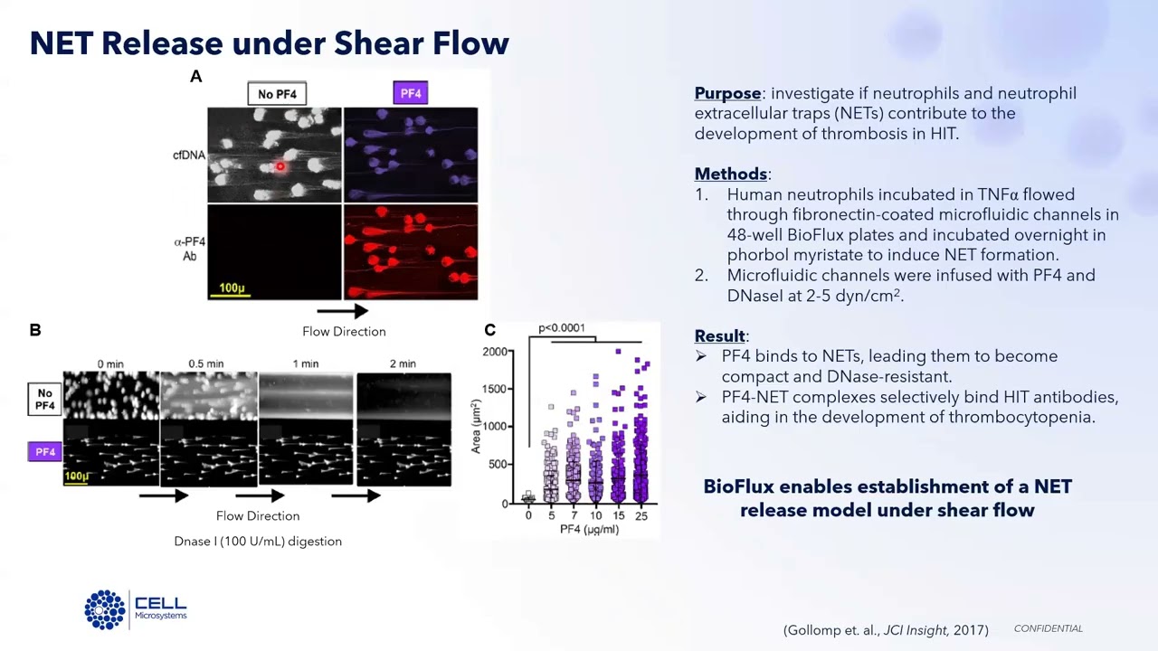 20 Minute Webinar: Modeling the Vascular Environment In Vitro: Lessons from Shear Flow Studies
