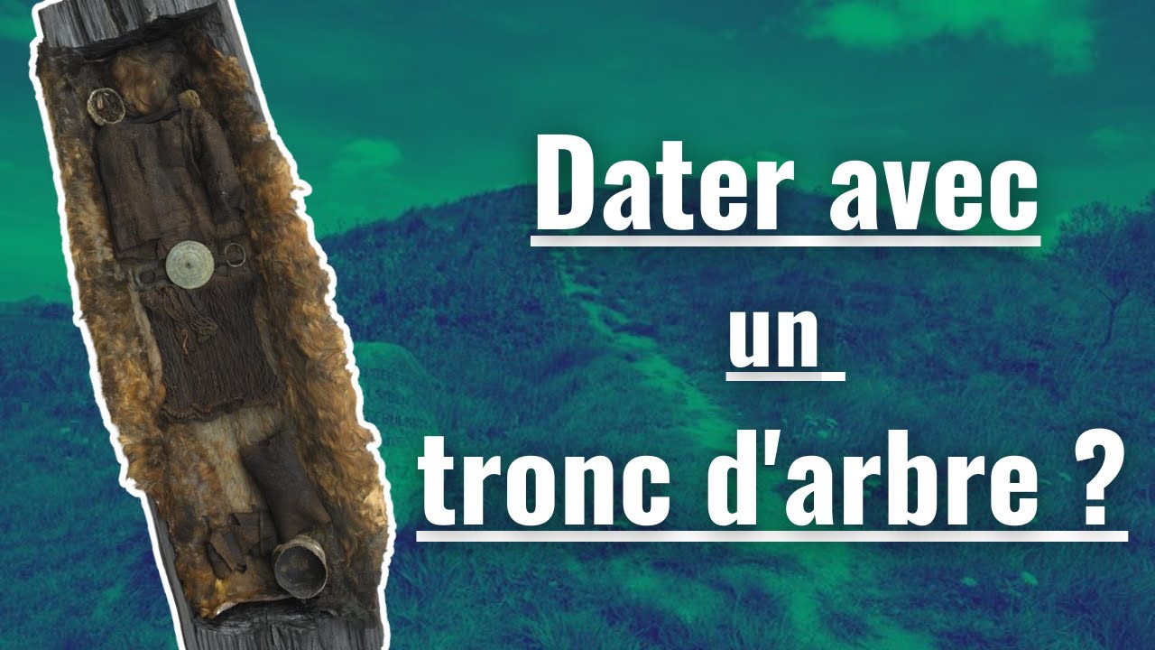 Un arbre peut-il r&eacute;soudre un myst&egrave;re arch&eacute;ologique ?