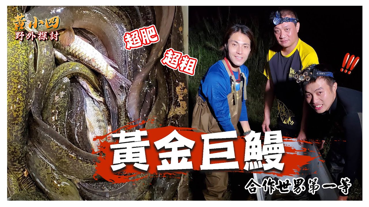 放籠系列｜鱸鰻誇張爆網/野貨爆桶/世界第一等與鱸鰻特攻隊合作拍攝。