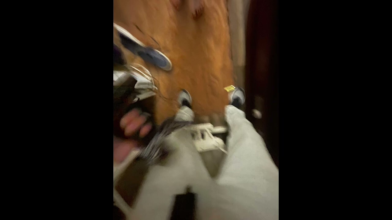 WRC Tris-Dog Food 