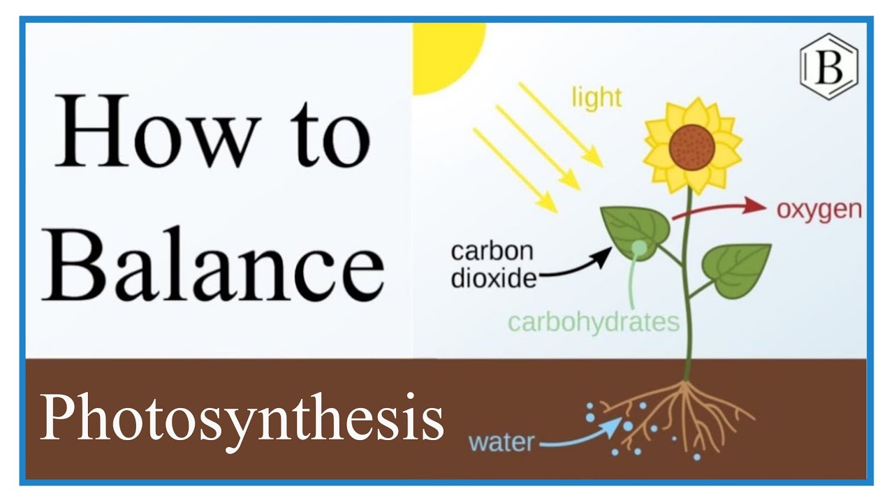 Equation for Photosynthesis (Word Equation and Balancing)