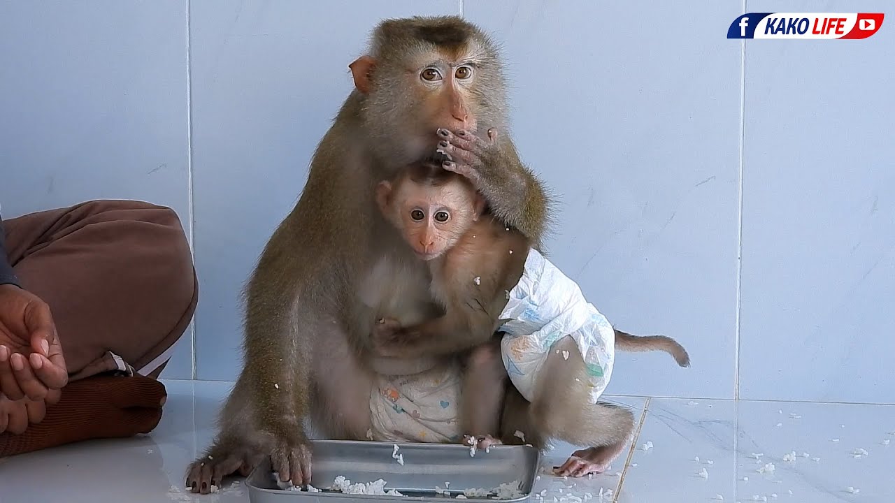 Mommy Luna Enjoying Lunch With Lovely Son Luka