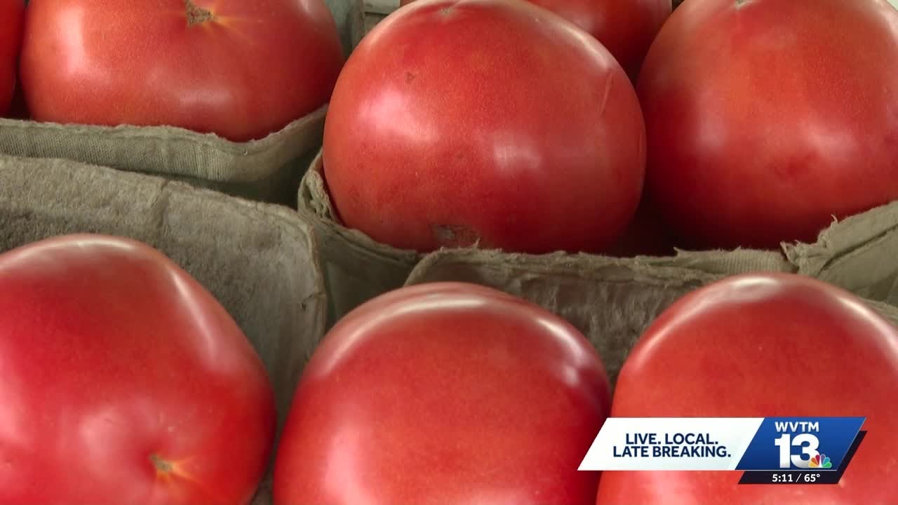 Tomato shortage in Alabama drives up prices