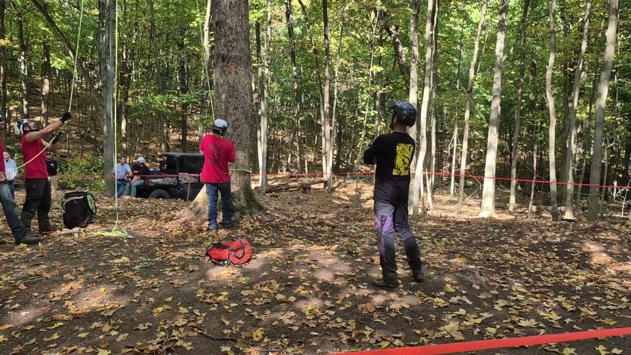 Limb walking pandemonium challenge 