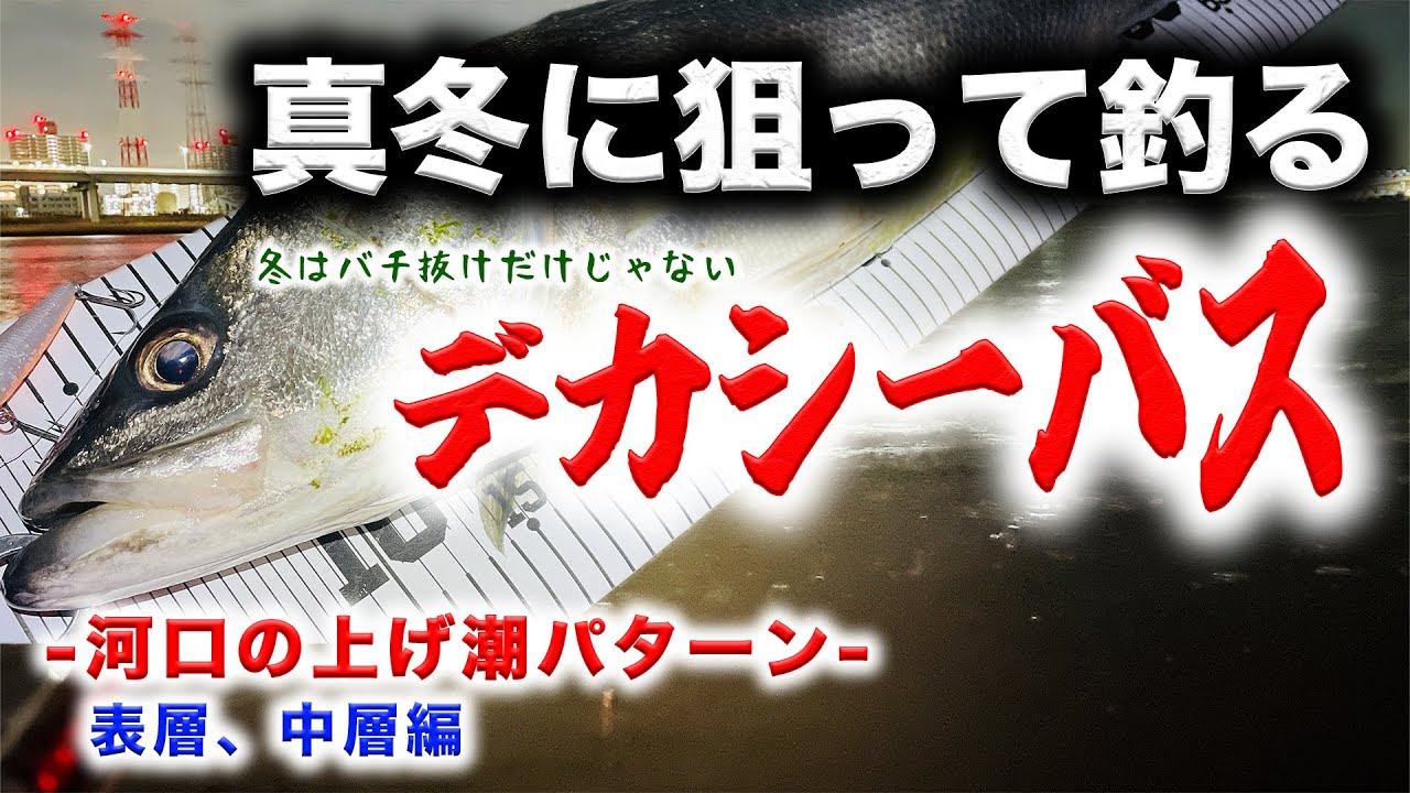 真冬にデカシーバスを狙って釣る！- 河口の上げ潮パターン表層、中層編 - 東京湾奥河川