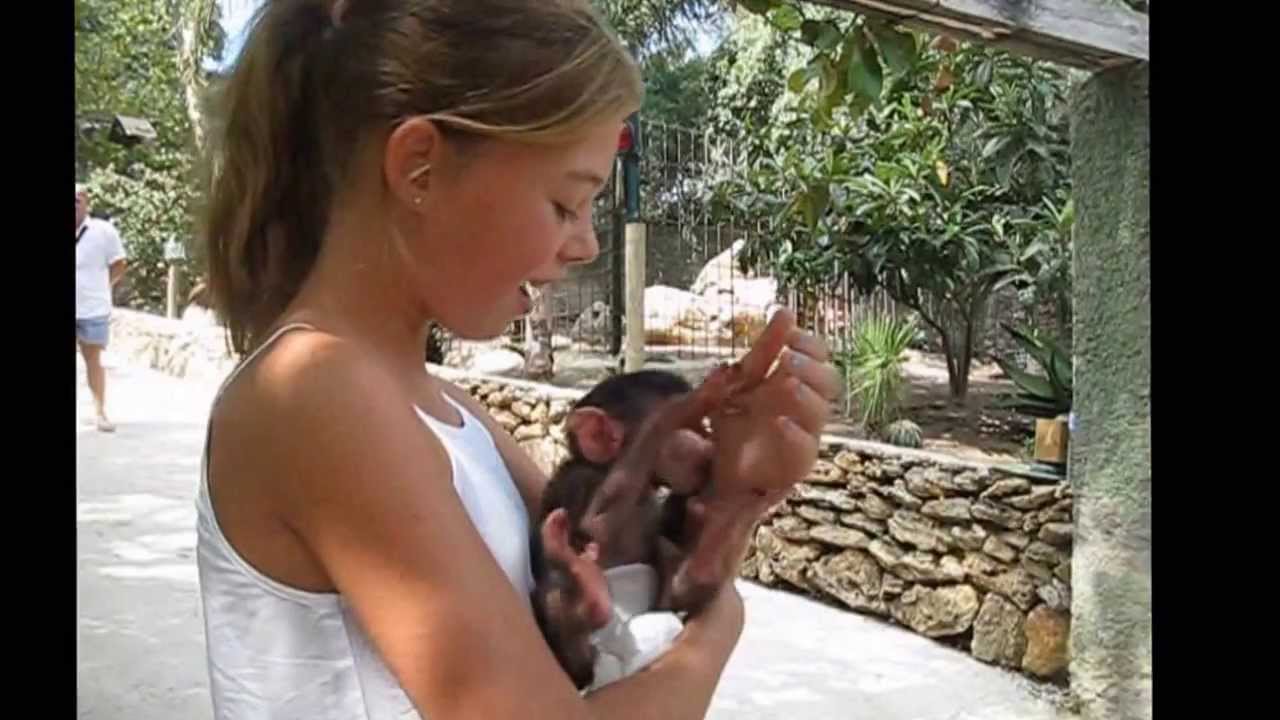 LOS BEBES DEL ZOO CASTELLAR