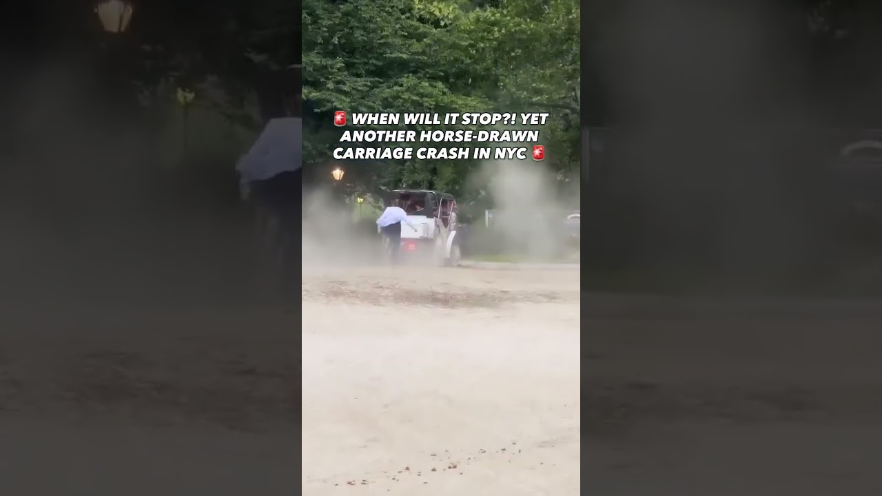 Another Horse Carriage Crash In NYC Just One Week After Deniz Collapsed and Died 😡🐎
