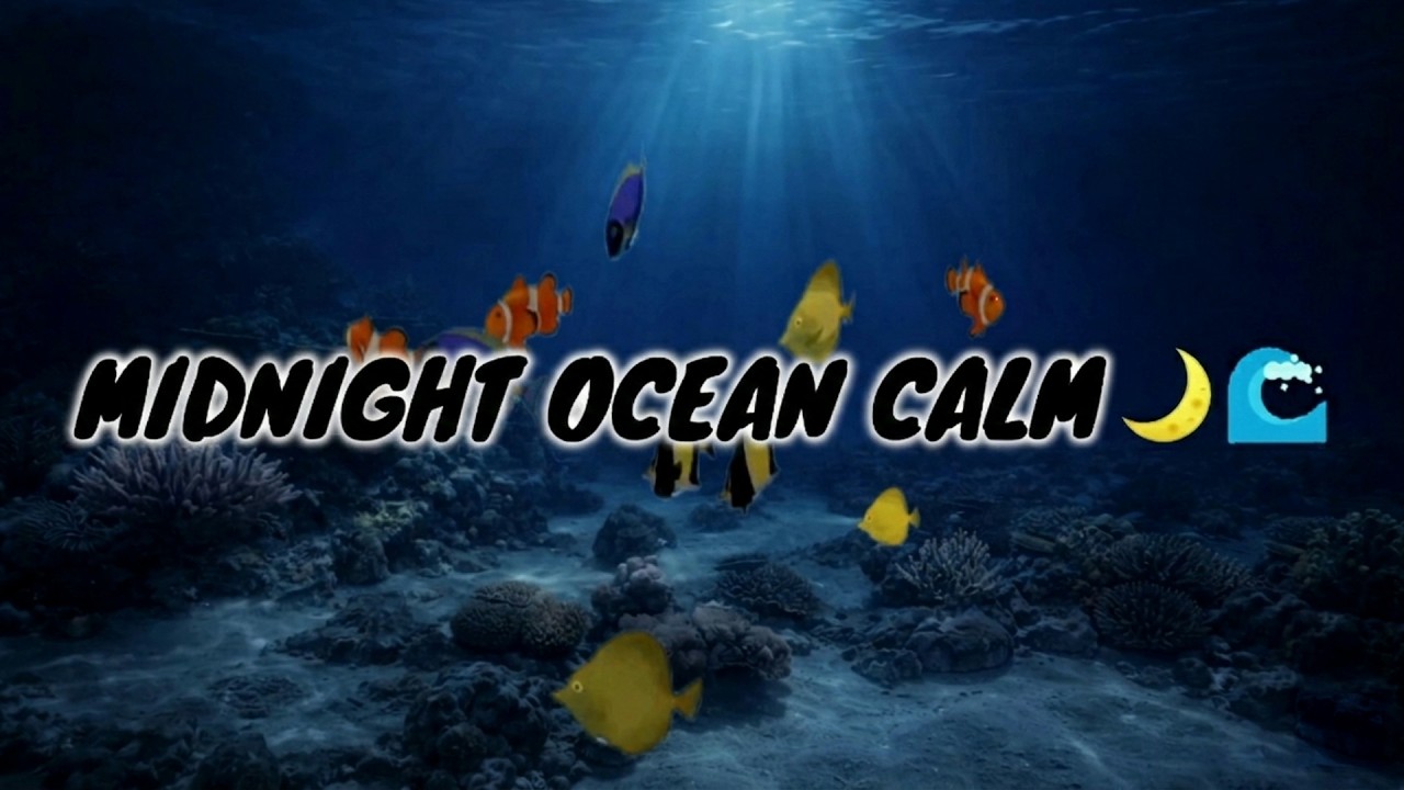 Midnight Ocean Dreams 🌙 │ Deep Sea Fish & Relaxing Underwater Sounds with Soft Piano