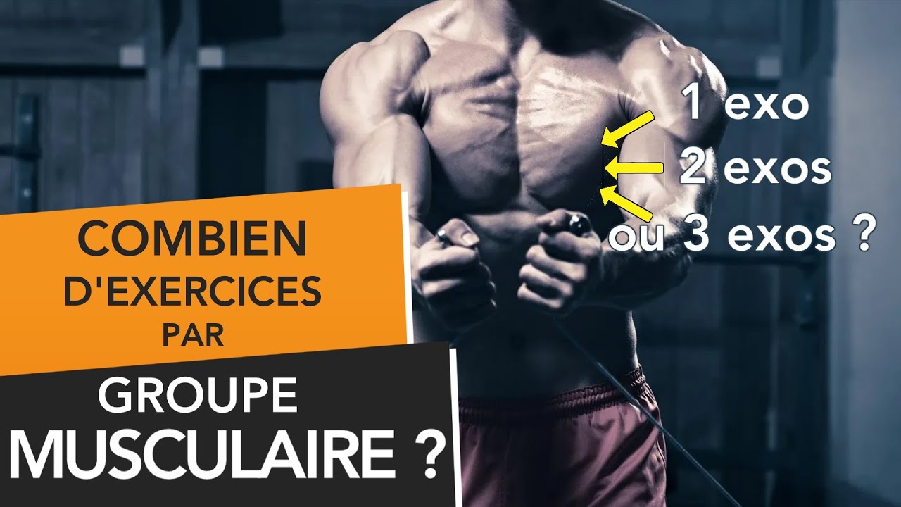 Combien d'exercices faut-il faire par muscle et par séance ? [HYPERTROPHIE]