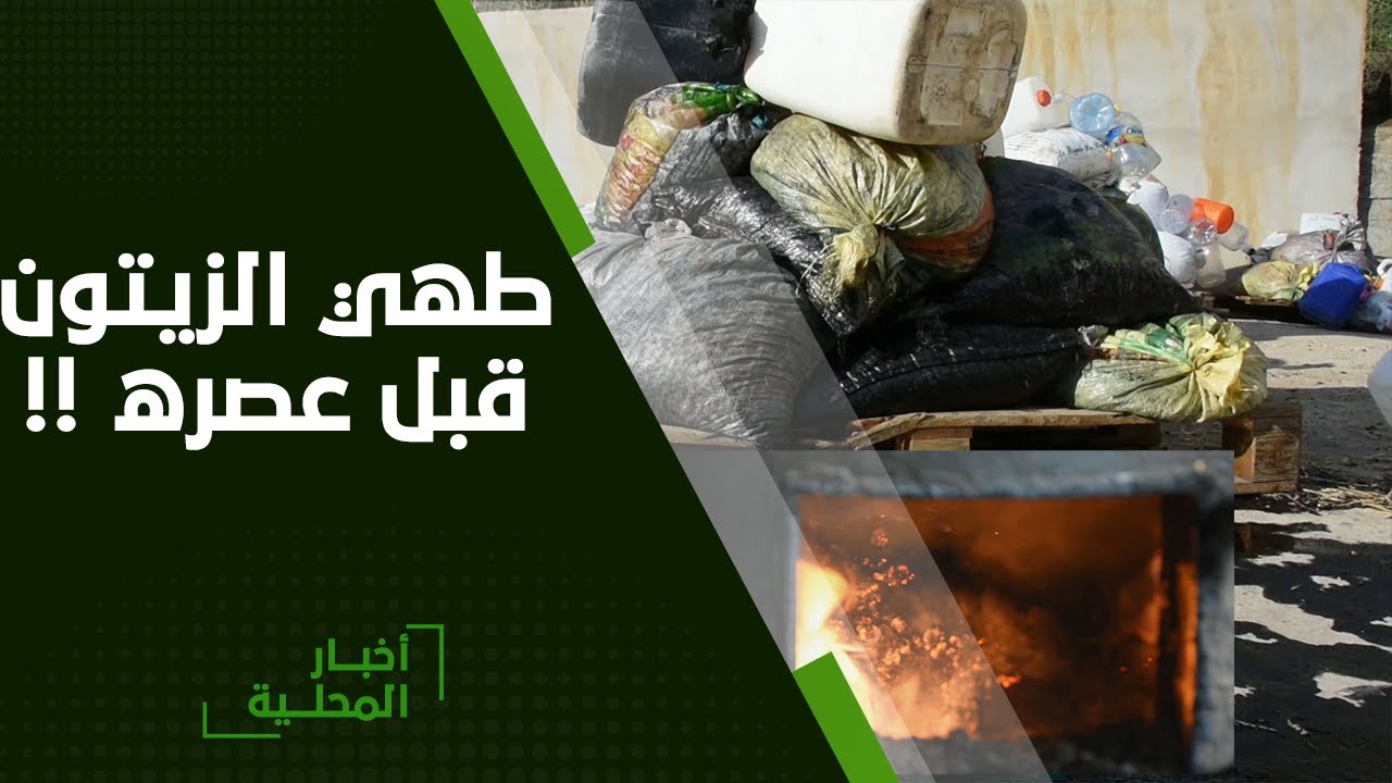 ميلة| طهي الزيتون قبل عصره.. عادة سيئة تفقد الزيت قيمته الغذائية