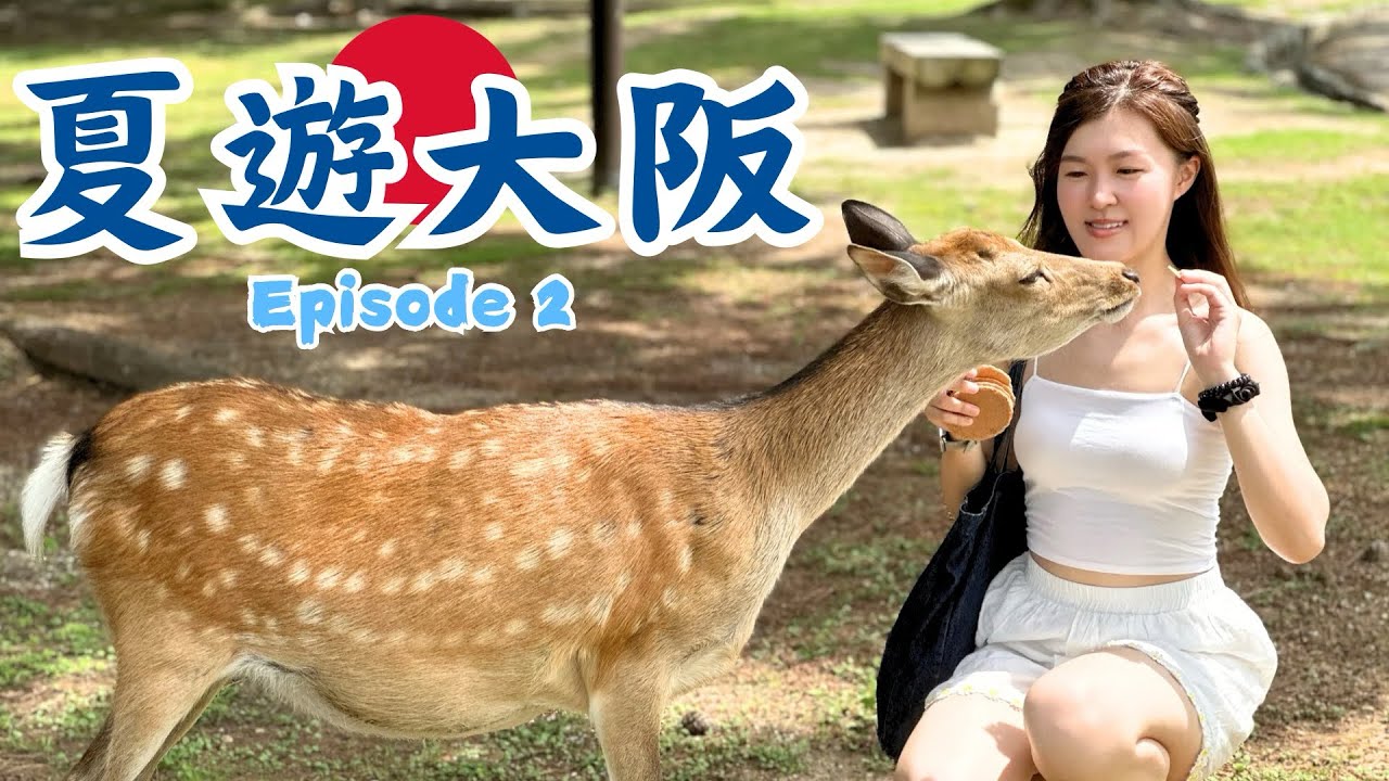 夏遊大阪 2024｜親子情侶好去處 SPA WORLD水上世界｜神戶高質牛丼 北野異人館狂打卡 王子動物園｜奈良餵小鹿鹿｜ Episode 2｜KARKARART