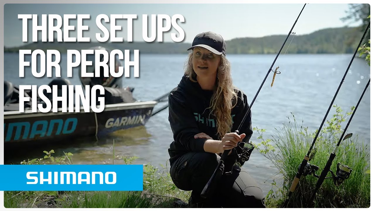 Three set ups for perch fishing - What Shimano Rod, Reel, Line and Lure to choose?