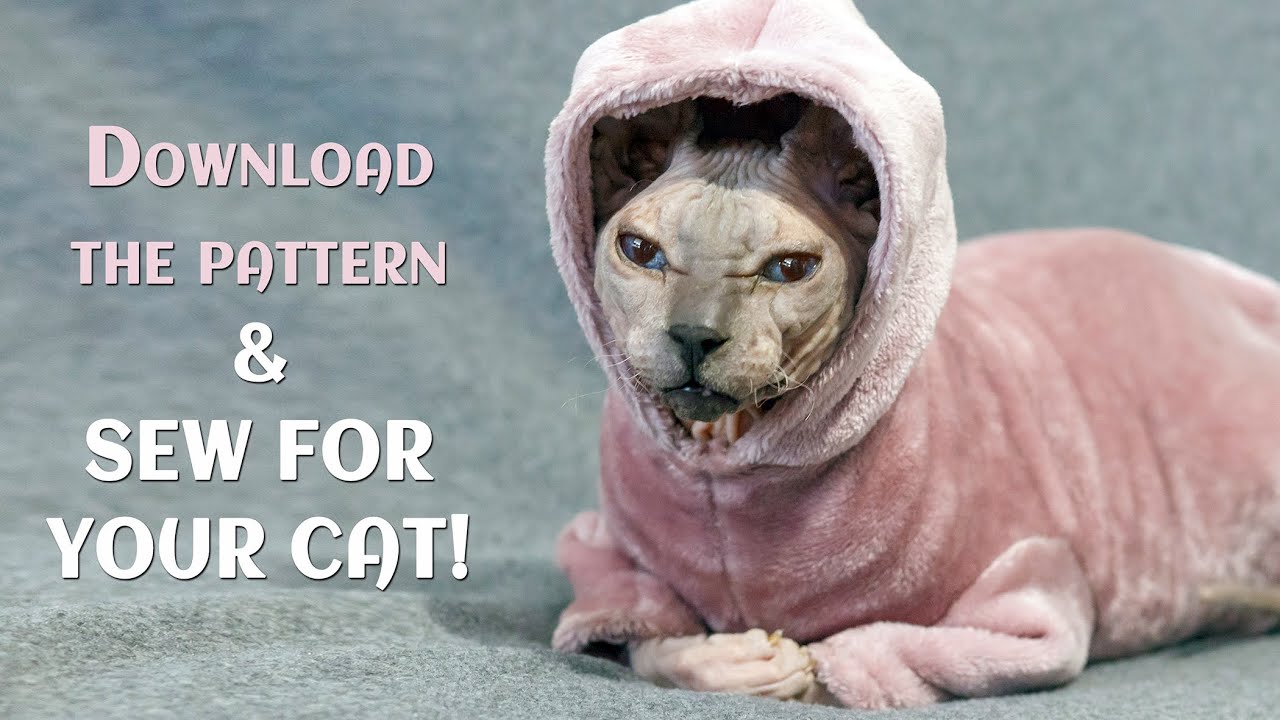 How to Sew Cat Clothes 🐾  Sphynx Sweater  A4 Pattern