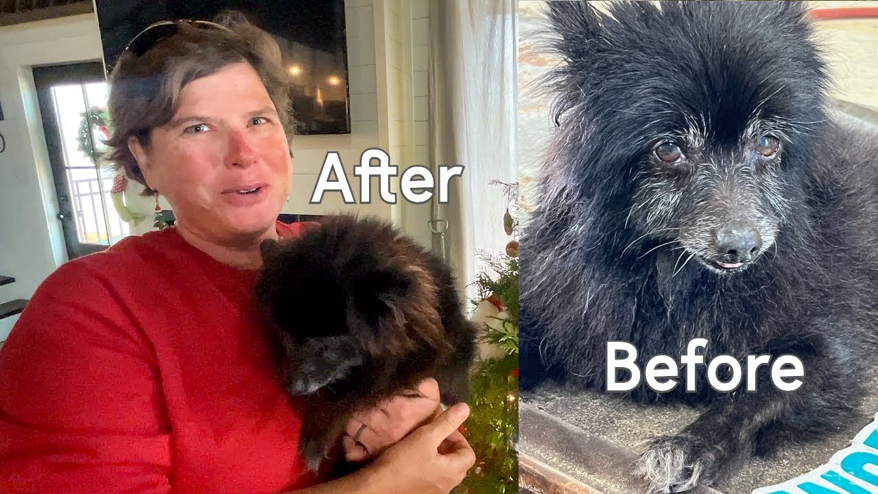 Look At Our Rescue Now! (Plus We Want Answers, & Hope This Will Help)