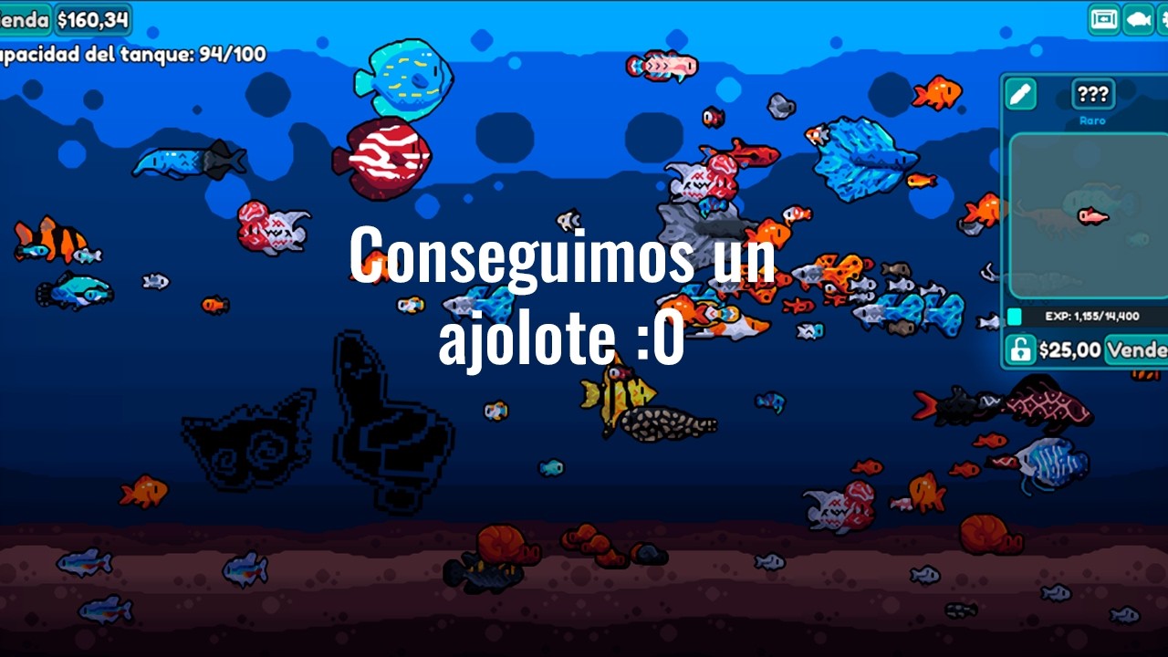 |Chillquarium| Conseguimos un Ajolote de chill