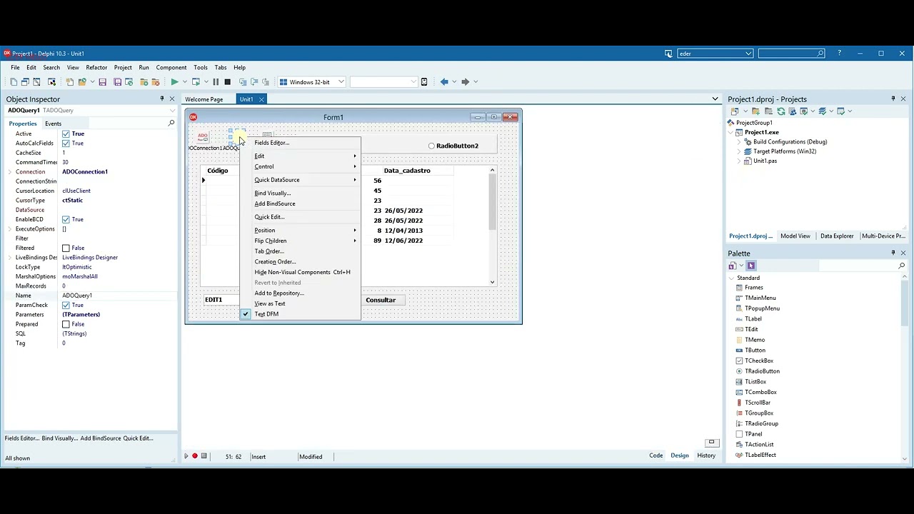 CONSULTA COM PARAMETRO ADOQUERY ACCESS - DELPHI 10.3