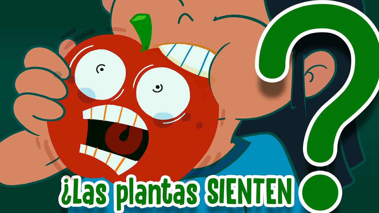 ¿Qué sienten las plantas? 🌻