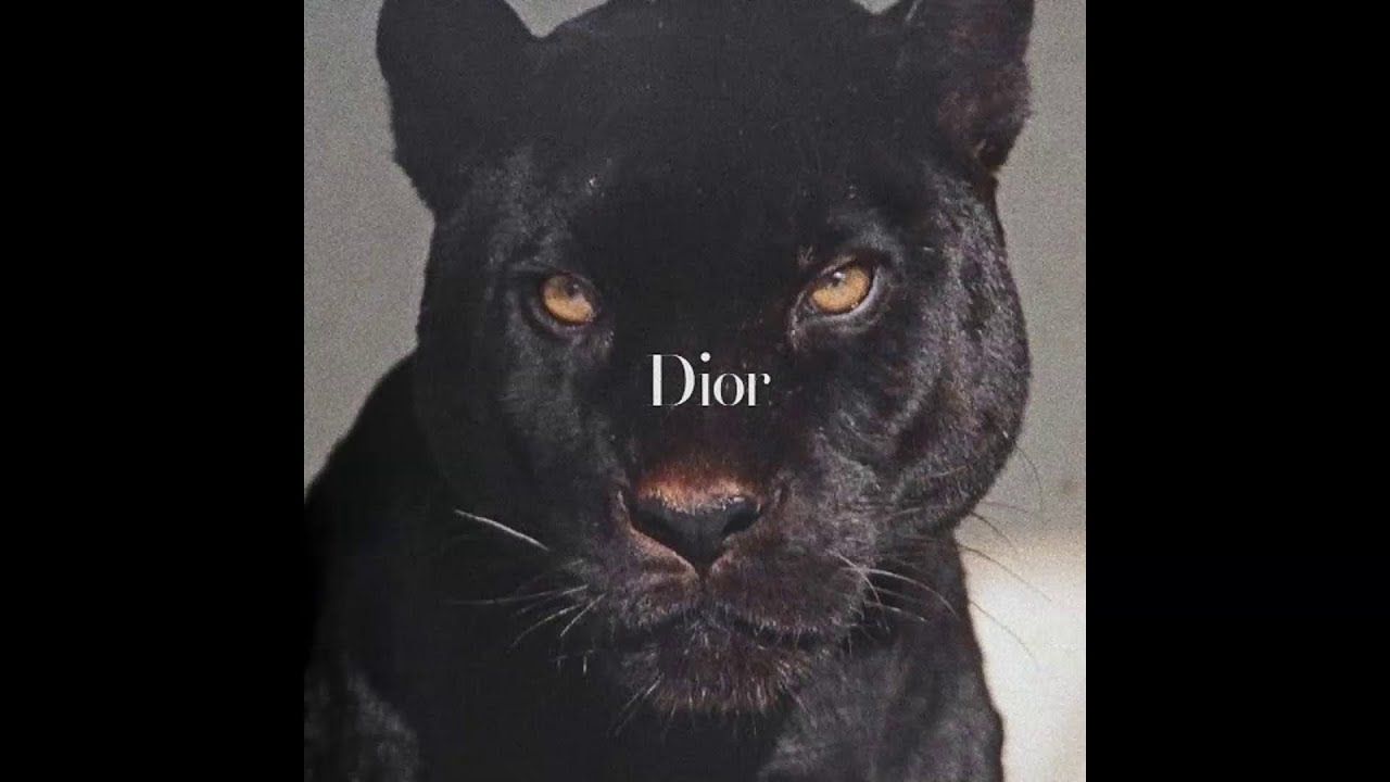 [FREE] Shindy x OZ Type Beat ''Dior''