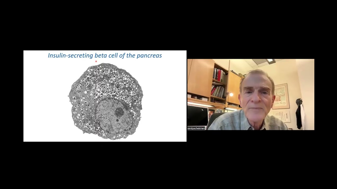 Genes, Cells and Discovery in Basic Science, with Randy Schekman